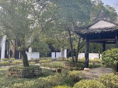 -白鹿洞书院