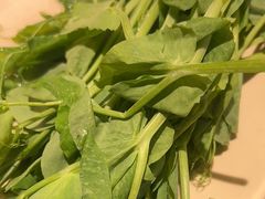 -蜀大侠火锅(春熙路店)