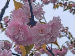 -滆湖低碳生态公园