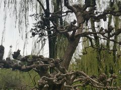 -温江公园