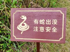 -芒洲湿地公园
