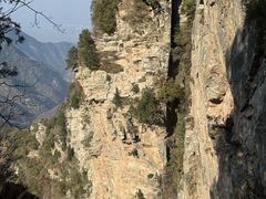 -少华山国家森林公园