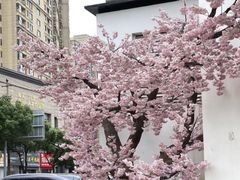 -春天来了(印象新天地店)