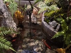 -鹤祥宫·影院足道·SPA连锁(苹果园店)