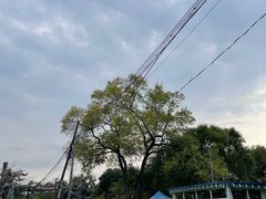 -绥化市森林植物园