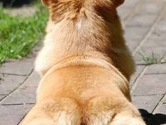 -赛百味SUBWAY(星摩尔店)