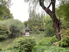 -上海醉白池公园