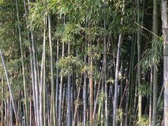 -北寺塔
