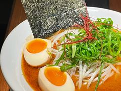 -真打拉面·日式拉面新流派(体育西横街店)