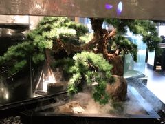 -新田360广场(上海华侨城店)