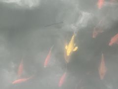 -天真蓝照相馆(宁波来福士店)