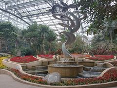 -南山植物园