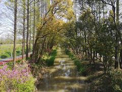 -上海长兴岛郊野公园