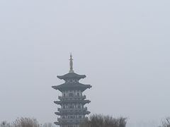 -洋湖国家湿地公园