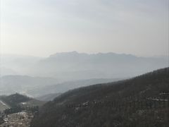 -中原大佛景区