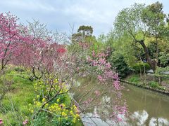 -南汇桃花村