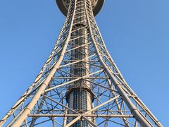 -龙塔