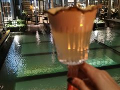 -四季酒店·空中花园 Aria on 9