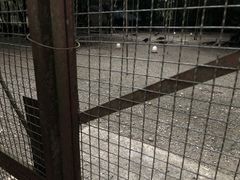 -西双版纳傣族园
