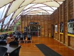 -怀托摩萤火虫洞