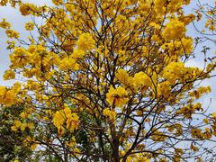 -中国移动南方基地