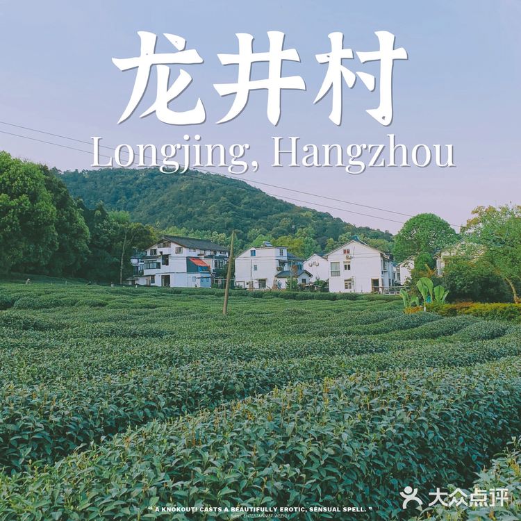 杭州小众景点｜名山名村名茶——龙井村