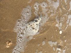 -三亚海棠湾万丽度假酒店