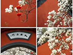 -清凉山公园