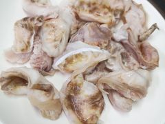 石斑鱼鱼唇边-齐海鱼圣深海石斑鱼火锅店(极地海洋世界店)