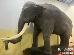 -国家自然博物馆