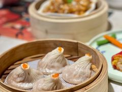 -点都德·毕德寮