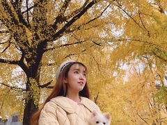 -四川大学(华西校区)