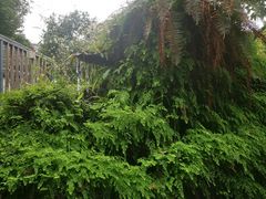 -凤来栖·净庭院·火锅(欧尚店)