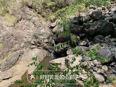 -大奇山国家森林公园