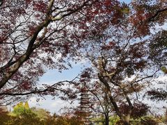 -上海方塔园