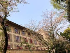 -武汉大学-樱园