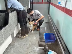 -宠物家(大兴旧宫店)