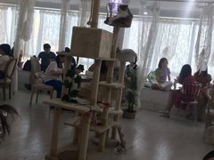 大堂-共舞时光猫咖·狗咖(新街口店)