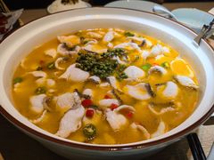 招牌青花椒-青花椒花椒鱼(新百店)