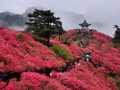 -木兰云雾山