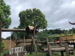 -杭州野生动物世界