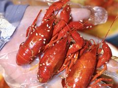-舞虾小说.涮肉.烧烤(国顺东路店)