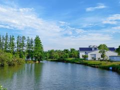 -上海长兴岛郊野公园