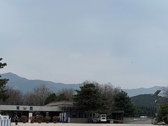 -秦始皇帝陵博物院-丽山园