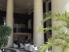 -新都绿城喜来登酒店大堂吧