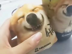 -LELECHA乐乐茶(王府井喜悦店)