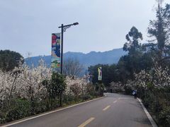 -樱桃山旅游景区