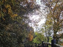 -终南山南五台景区