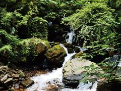 -瓦屋山景区
