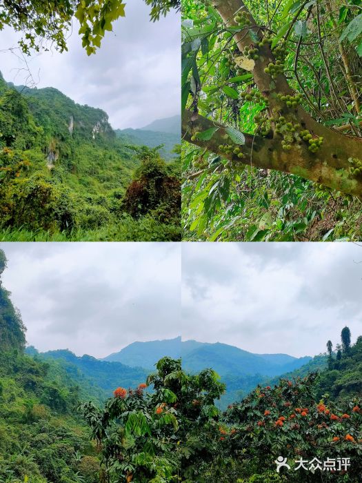 古龙山大峡谷图片